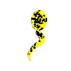 ZOZO-Boutique-bcg-designer-ligne-prestige